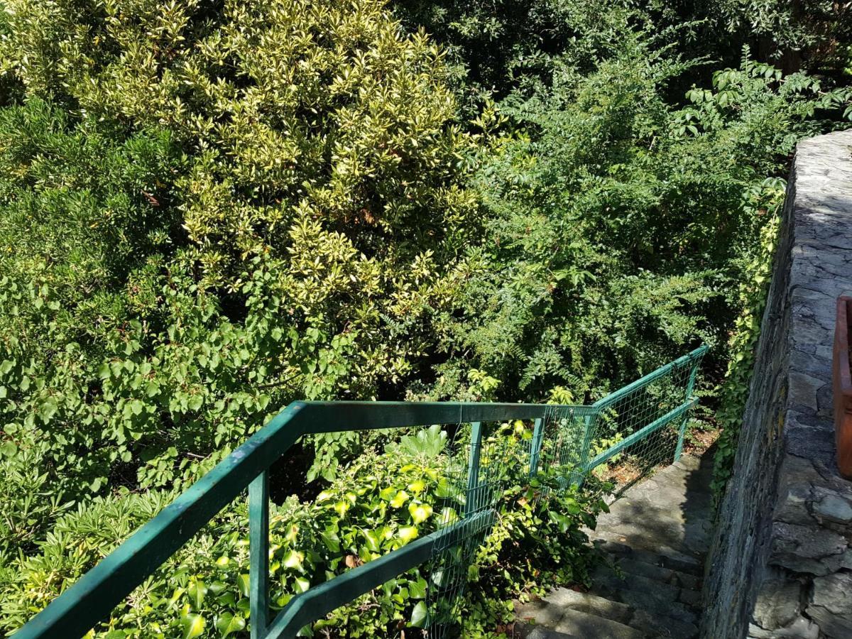 Casa Berizzi Mare - Arenzano Pineta Centro Apartman Kültér fotó