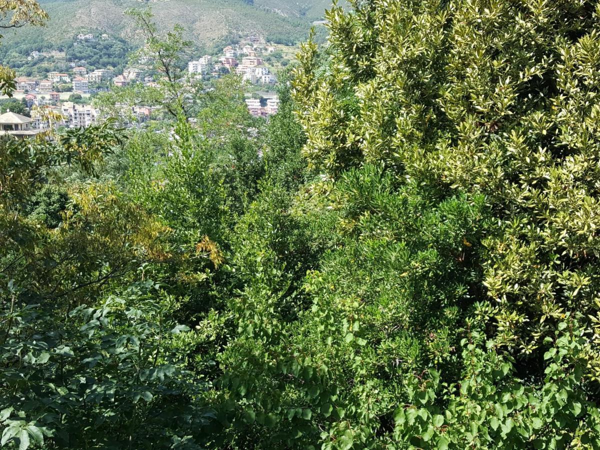 Casa Berizzi Mare - Arenzano Pineta Centro Apartman Kültér fotó
